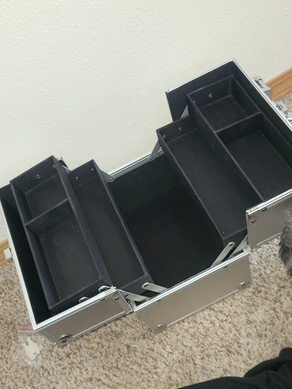 Frenessa Aluminum Cosmetic Storage Case - Silver